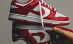 Nike Dunk Low USC