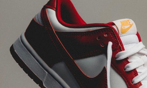 Nike Dunk Low USC